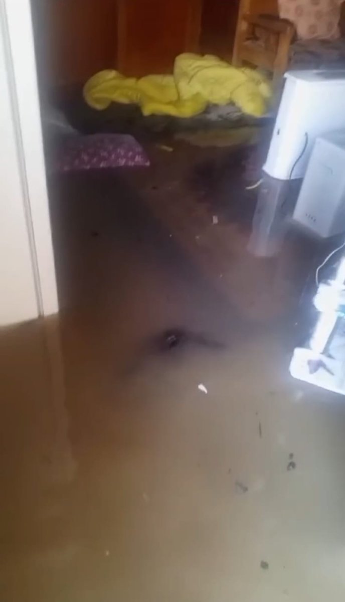 We are not cold anymore, we're freezing to death.
Rain floods our house, children shake until they go quiet, &amp; our furbabies fade in our arms, hungry &amp; trembling. This is not suffering… this is the end approaching.
There is no tomorrow promised here. If help doesn’t arrive now,