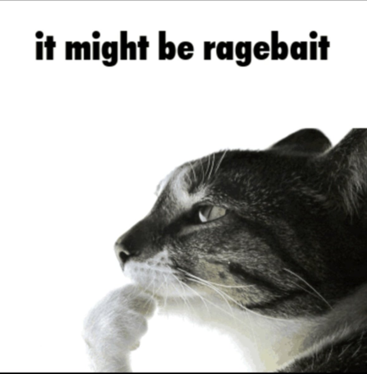 It Might Be Ragebait tweet media