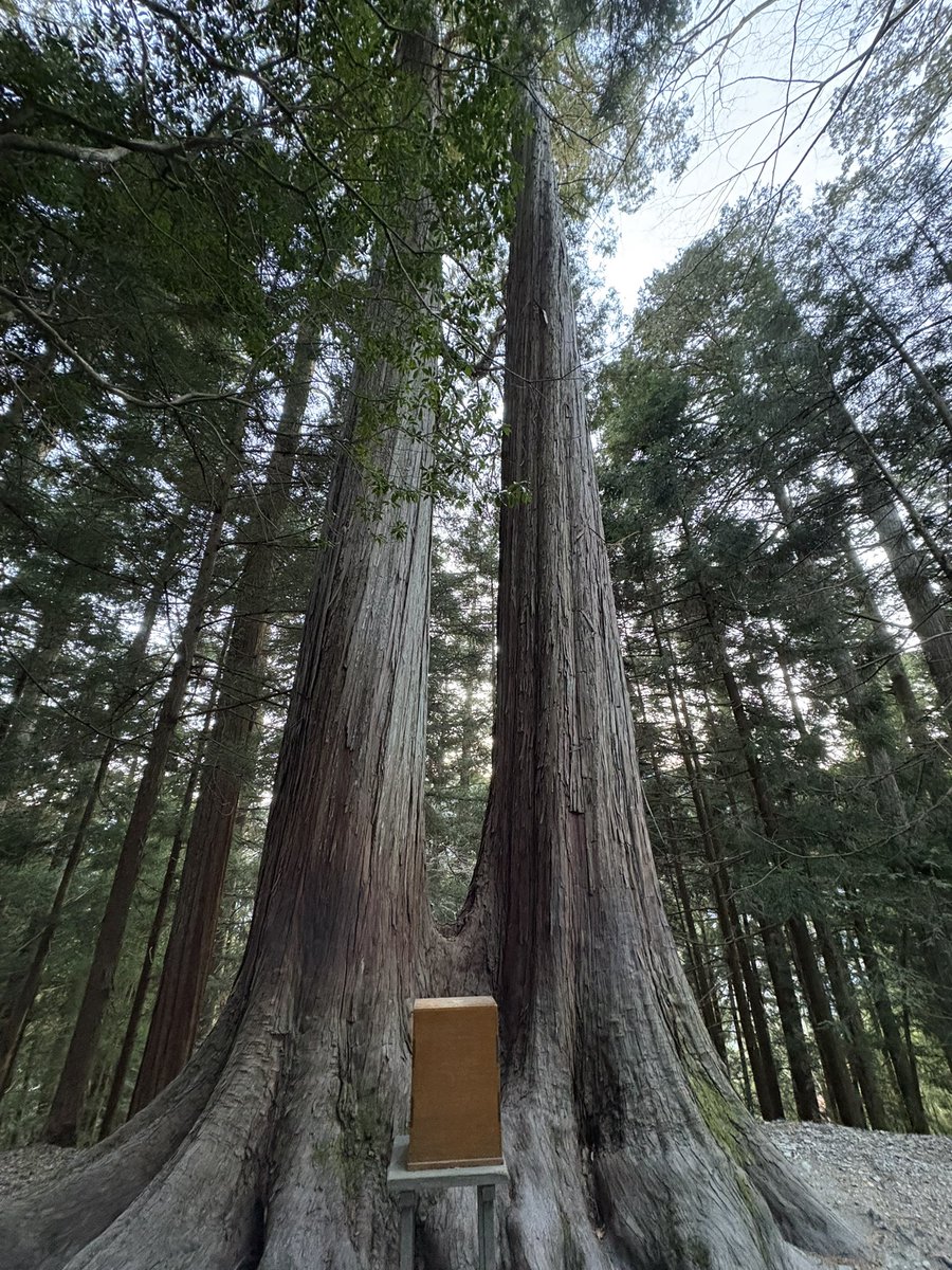 yummy (@yummy20500140) / Posts / X