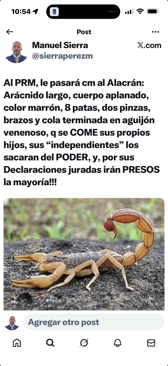 Manuel Sierra tweet media