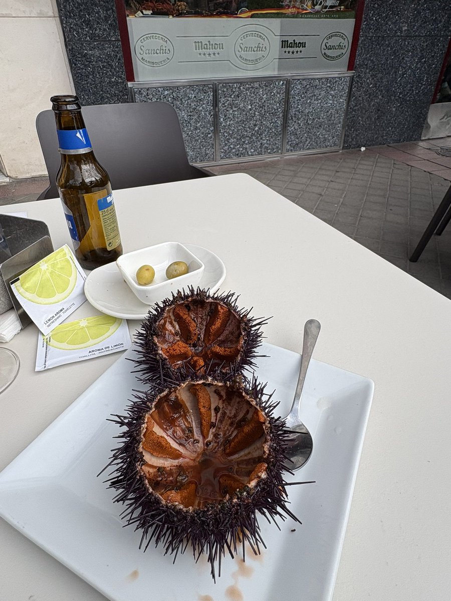 Juan Landecho tweet media