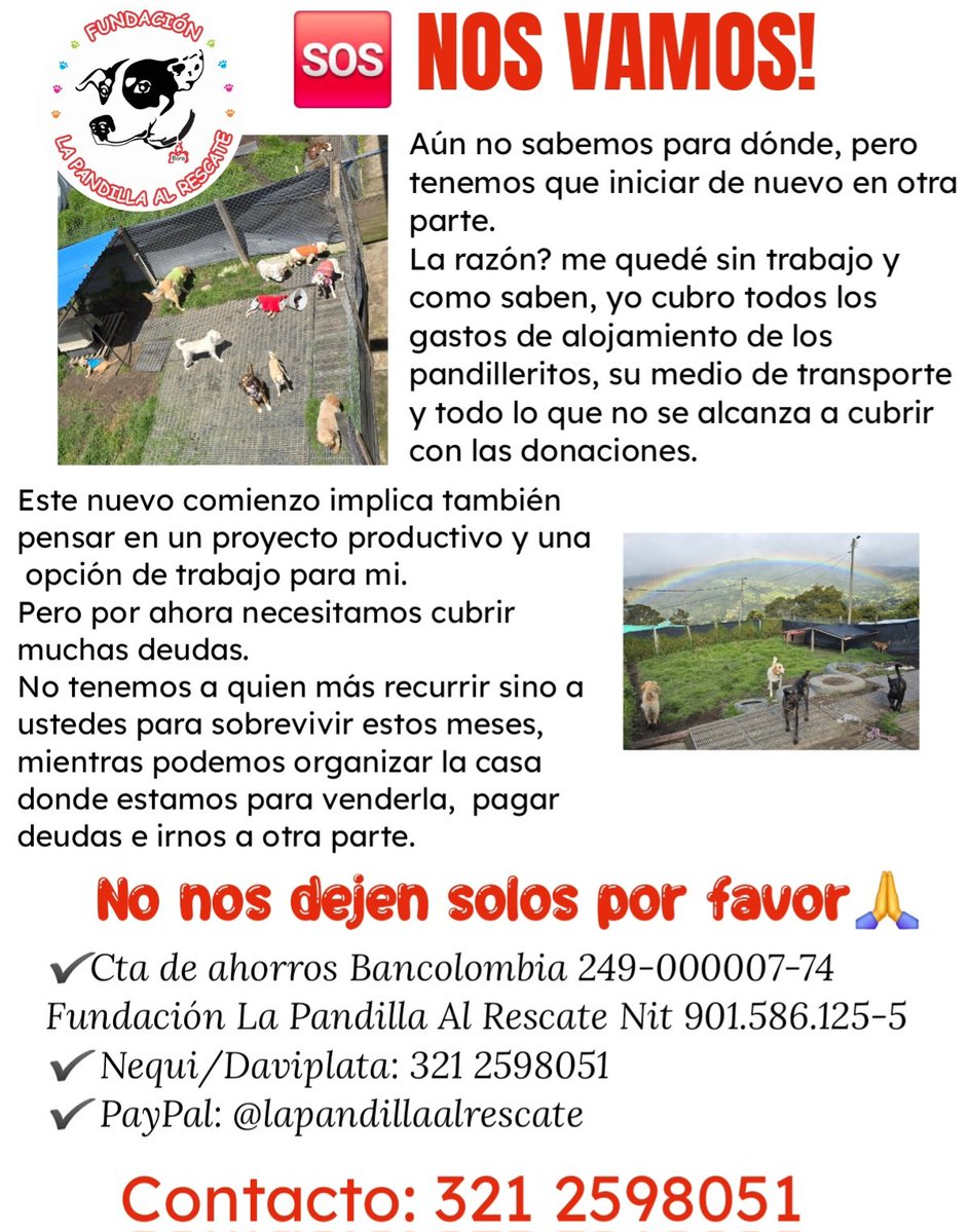 Marce_Tabares's tweet image. 💔Oficialmente desempleada y necesitando de todos. Debemos comprar concentrado  y pagar liquidación del trabajador, entre otras mil vainas 😭😭