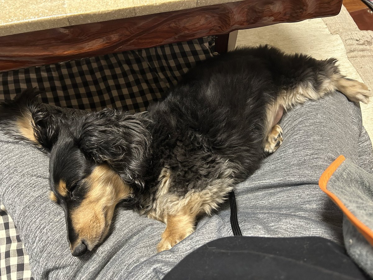 ☆shine (@7shine7) / Posts / X