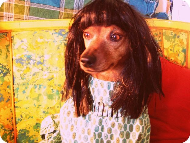 Oasisaspets's tweet photo. @liamgallagher Liam is this you? https://t.co/y0i0oVTkww