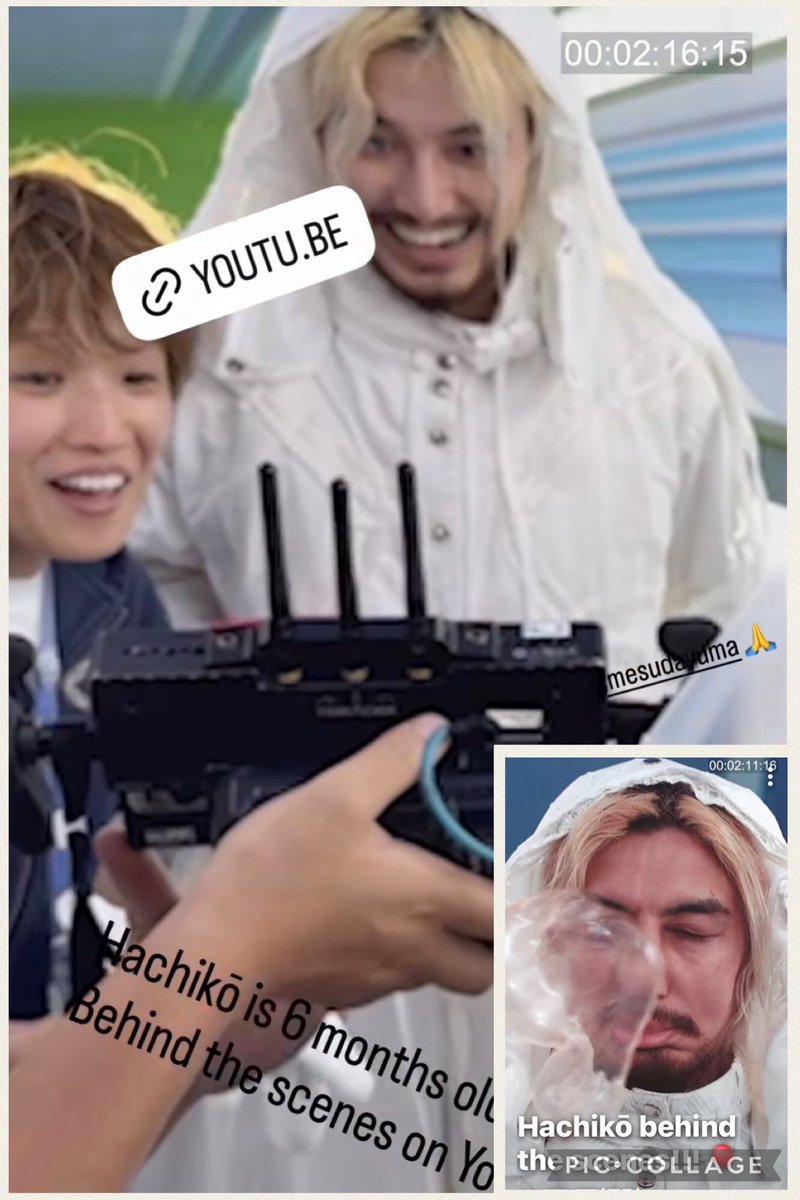 WINDY (@chis_fk) / Posts / X