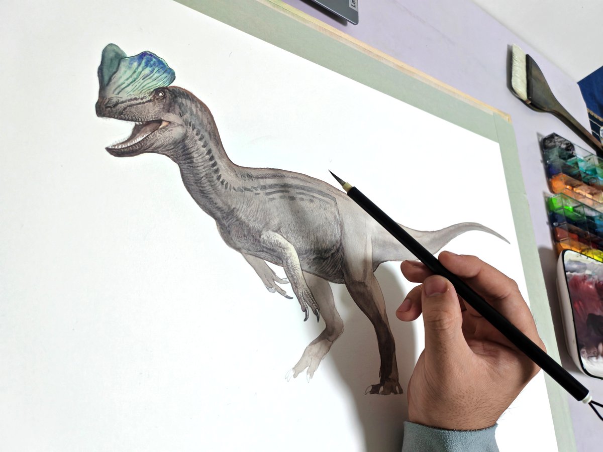 I participated in a project about dinosaur cards, and in order to promote it better, I will showcase some related images