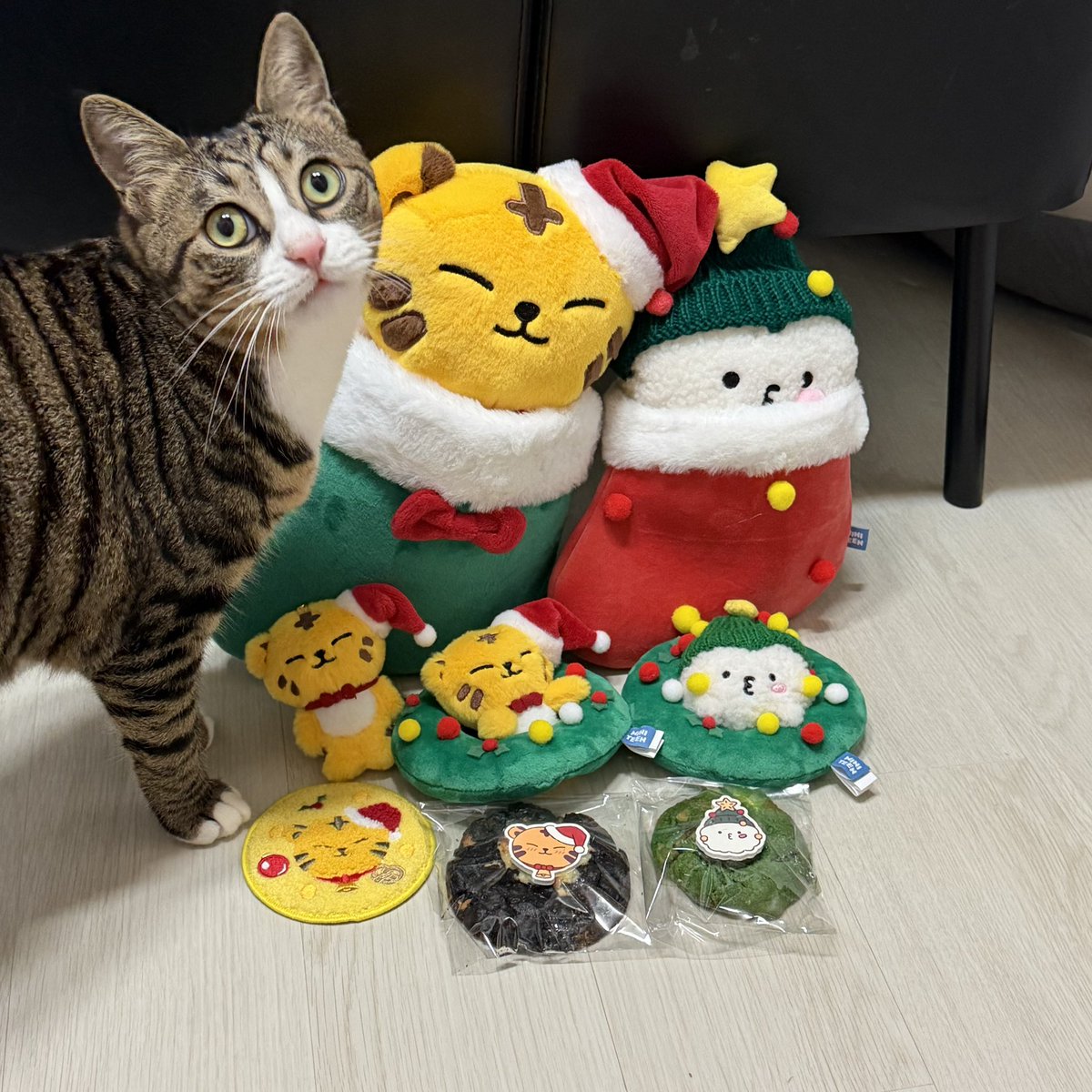 미니틴팝업에 3억썼는데 뾰퓰이까지 못 모은게 원통하다