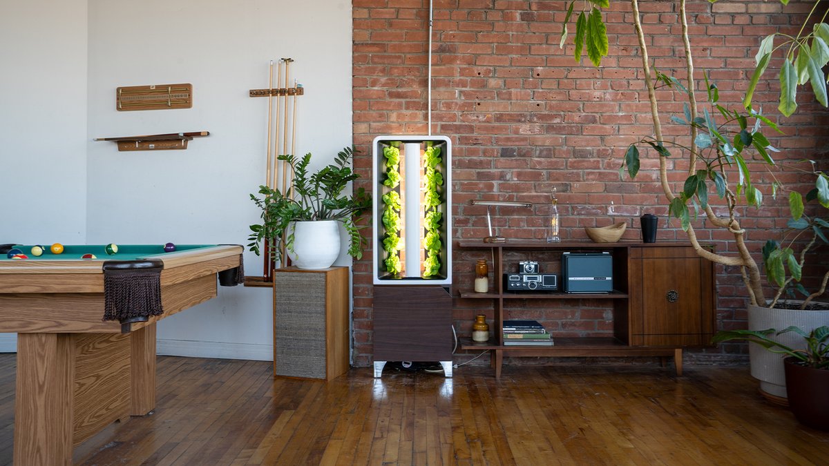 JustVertical tweet media