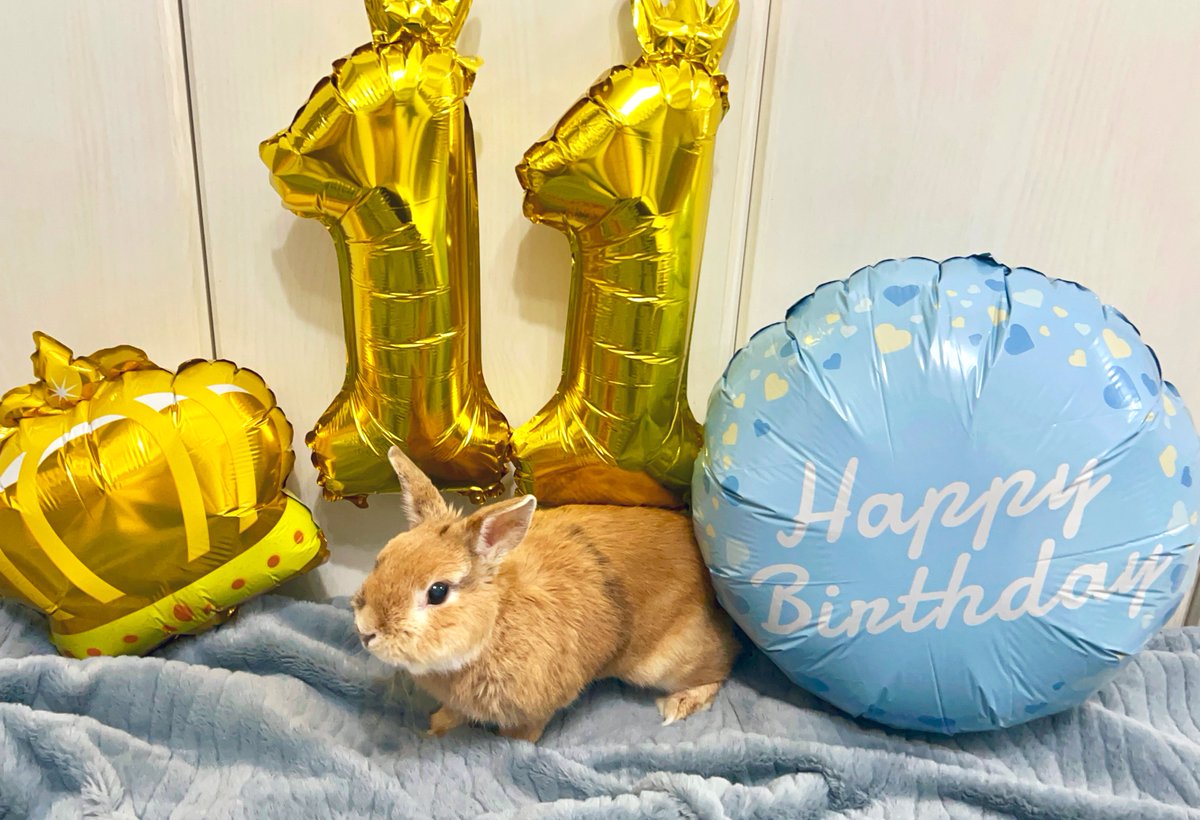 よっちぇく&きんむぎ tweet media