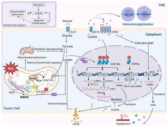 Aitor Viribay tweet media