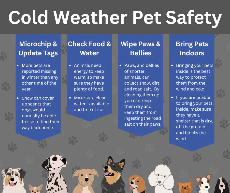 Bayside Village tweet media