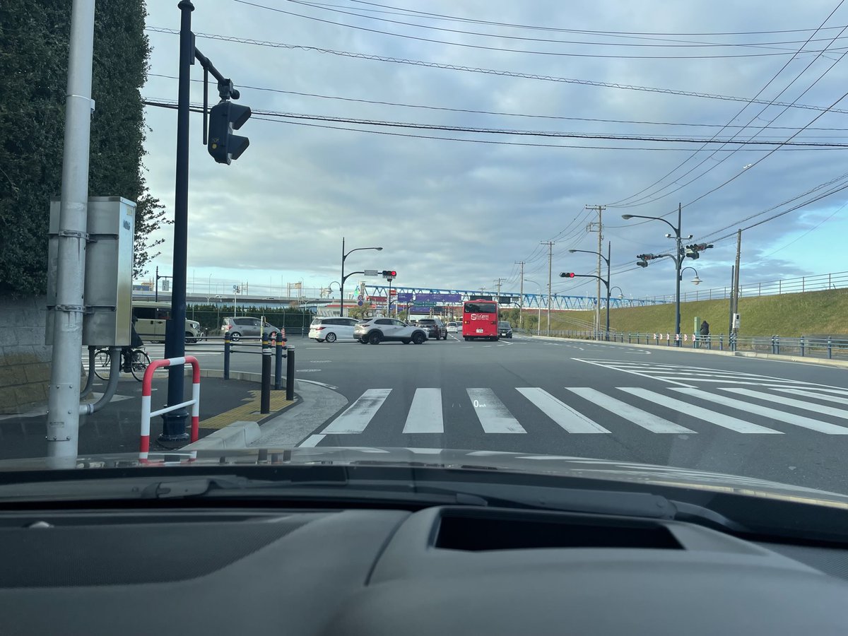 ✳* エリコイデス ✳* 挿し穂 ✳* エリコイデス ✳* 挿し穂 ✳* エリコイデス ✳* 挿し穂 【公式通販】