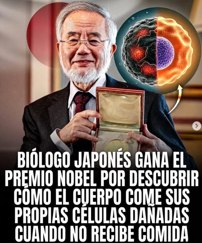 Sabias que el cuerpo come sus propias celulas dañadas cuando no recibe comida...

--HILO--