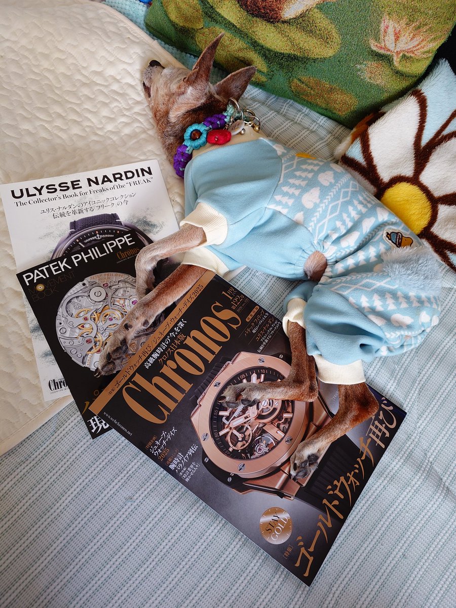 あんにゃん⌚LUNA SEA🌕5人いっしょ✨ (@music0520free) / Posts / X