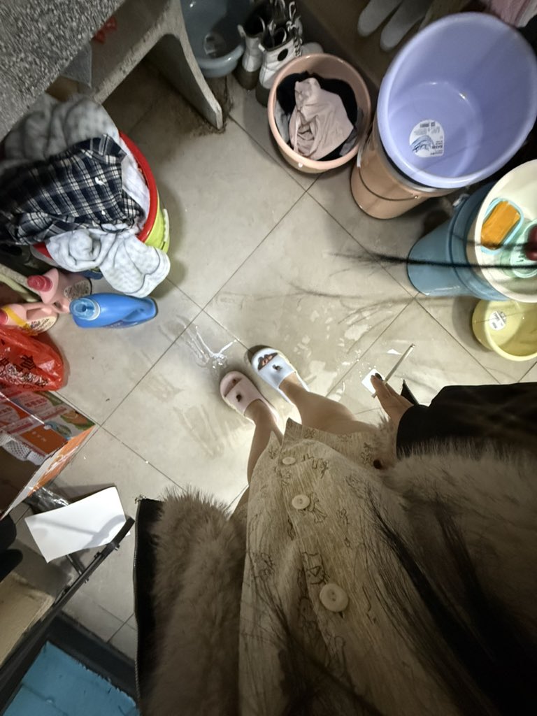 藤绒花 tweet media