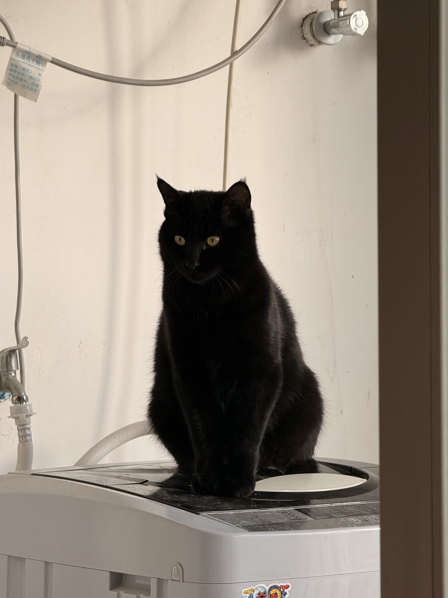 Addddddd tweet media