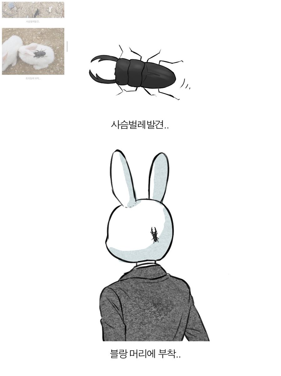 ㅁㄹ tweet media