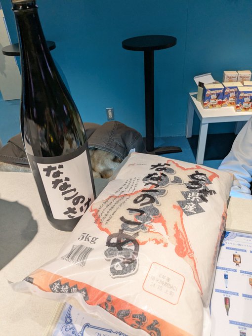 海月　秋葉原コンカフェのツイート