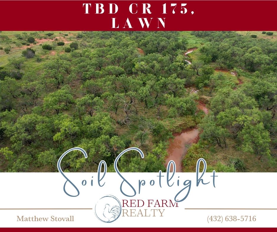 redfarmrealty's tweet image. 🐓 Saturday Soil Spotlight!
Looking for the perfect local Christmas gift? 🎁🎄
50.82 acres in Jim Ned ISD with water meter, electric at the road, creek, wildlife, views, fencing, &amp;amp; completed survey.
Don’t miss it!
FULL LISTING INFO:buff.ly/5sG2PSS
#TheRedFarmWay