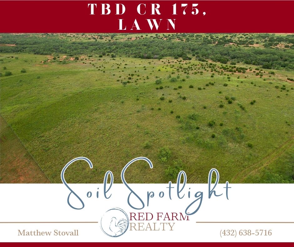 redfarmrealty's tweet image. 🐓 Saturday Soil Spotlight!
Looking for the perfect local Christmas gift? 🎁🎄
50.82 acres in Jim Ned ISD with water meter, electric at the road, creek, wildlife, views, fencing, &amp;amp; completed survey.
Don’t miss it!
FULL LISTING INFO:buff.ly/5sG2PSS
#TheRedFarmWay