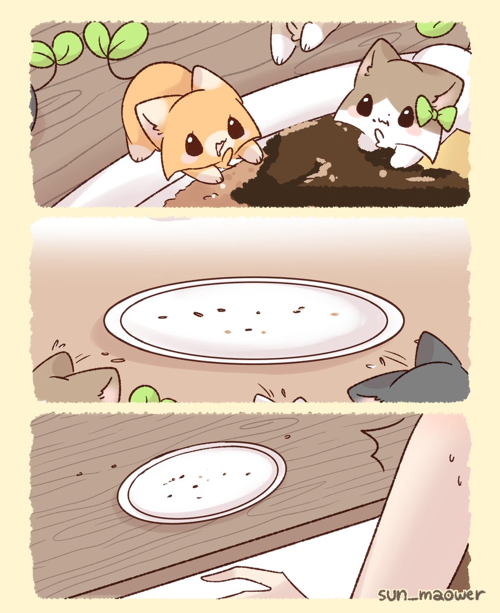 Sunmaower | IF EXPO J05-J06 SUN tweet media