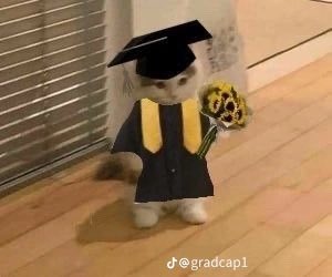 I M Y K E tweet media