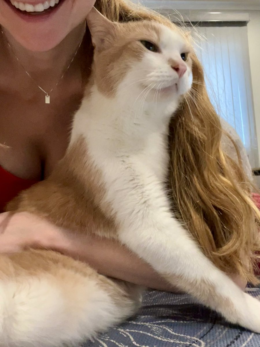 Cale 🥬 tweet media