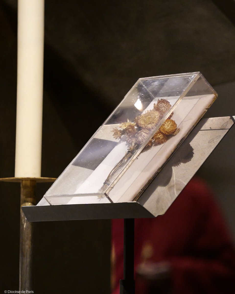 dioceseparis's tweet photo. 🕊️ Les #reliques rappellent que la foi chrétienne s’est incarnée dans des vies réelles.
✝️ Les 50 bienheureux morts en haine de la foi que nous célébrons aujourd'hui ont presque tous été enterrés dans des fosses communes ou ont été brûlés dans les fours crématoires.
🙏 Pour les représenter tous, c'est une relique du bienheureux Maurice Rondeau, prêtre du diocèse de Meaux, mort d'épuisement en Bohème le 3 mai 1945, qui a été choisie.
🌿 Elle est accompagnée d'une croix d’Immortelles devant laquelle nombre d’entre eux ont prié.
