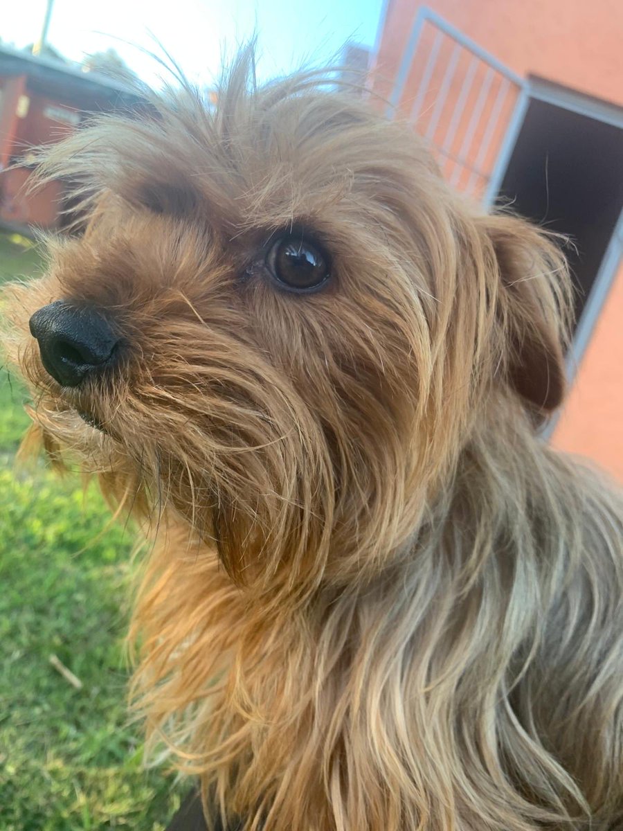 Felipe Carballo tweet media