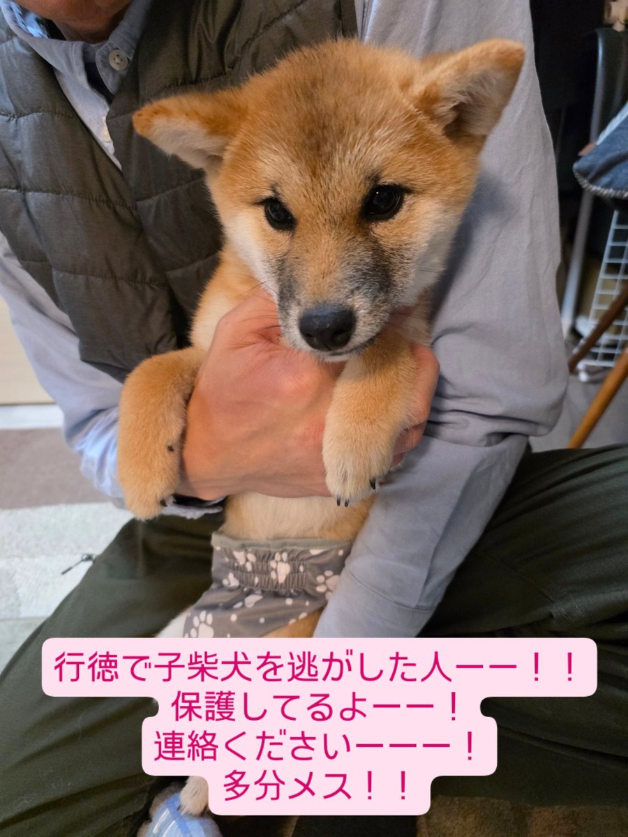 poppy🐥 (@groovy03291013) / Posts / X