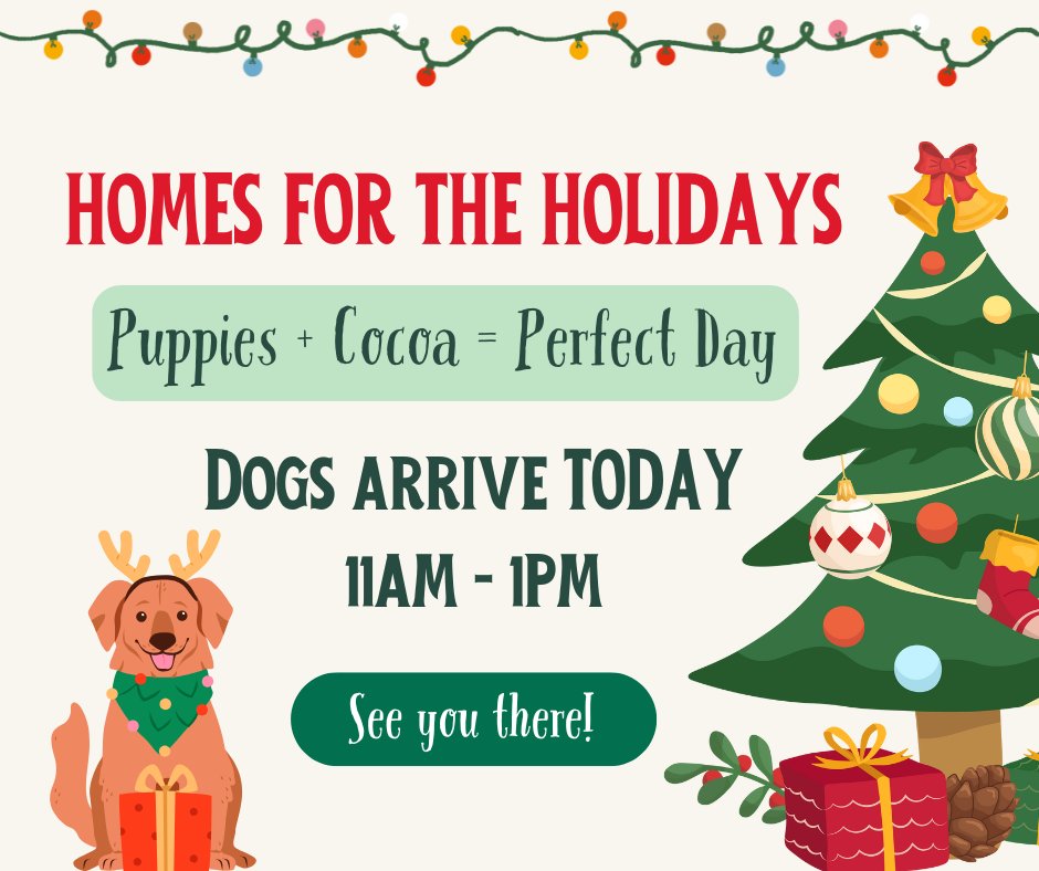 FretzRV's tweet photo. ❄️🐶 TODAY at Fretz RV! 🐶❄️

Join us for Winter Deals, FREE hot cocoa &amp; cookies ☕🍪
and meet adorable adoptable dogs arriving at 11 AM through 1PM 🐾❤️

✨ Make sure you CHECK IN when you arrive — we’ll donate $5 to the shelter on your behalf! ✨ https://t.co/xhiS78GnHv