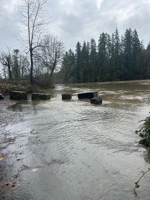 OregonFishingUS's tweet image. SW Washington Fishing Report: Flooded Rivers, Razor Clam Opportunity

🌊🎣 SW Washington Fishing Report: Rivers blown out, razor clamming shines! 🐟 wp.me/p6Jd7i-1apQ

#WashingtonFishingReport #CatchMoreFish #TheGuidesForecast #SWWashingtonFishing