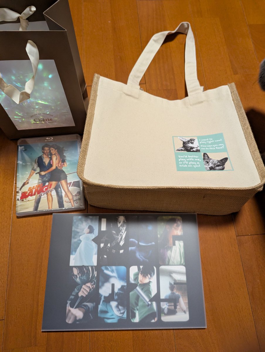 これは頂いたものなんですけど、突然父母に「はんすけ来なさい」て言われて渡されたのが見たかったけど逃してたイ…ド映画でわろた😂
あととやさんからは今年の写真集だったんだけどバッグがうちのねこ😭めちゃかわいい大事に使います