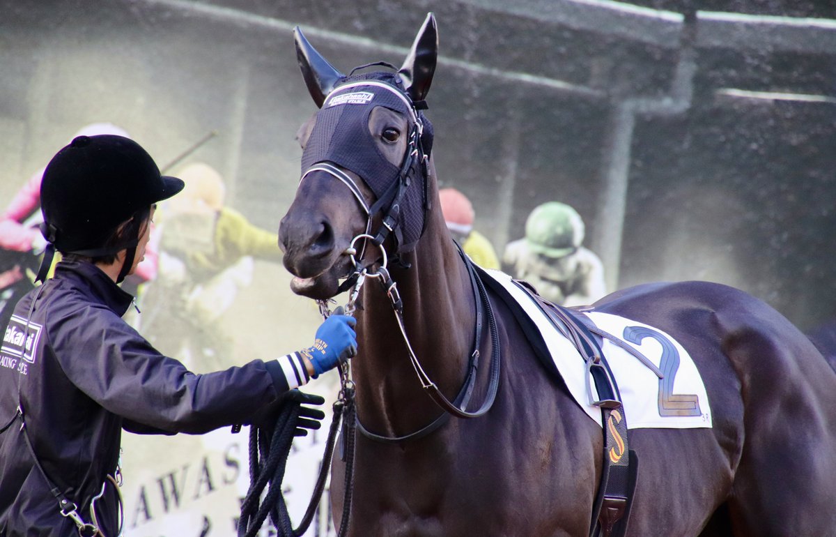 あみ (@amuma__1223) / Posts / X