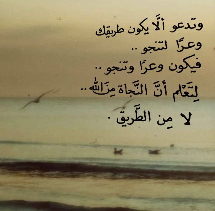 s1121423's tweet image. 