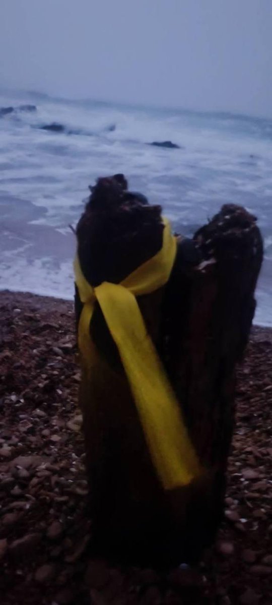 Berdyansk and Crimea - so long under occupation but resist