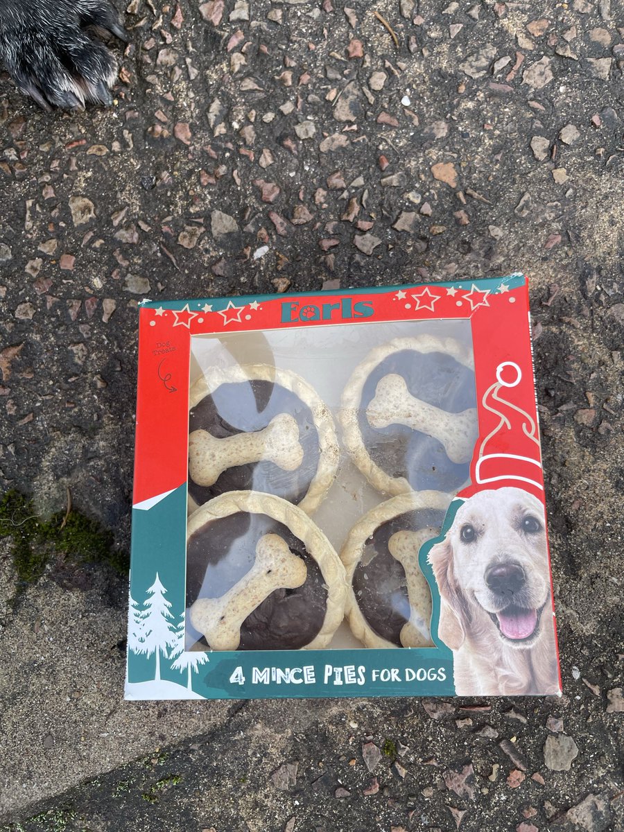 Retired Police Dog Stella the Staffie tweet media