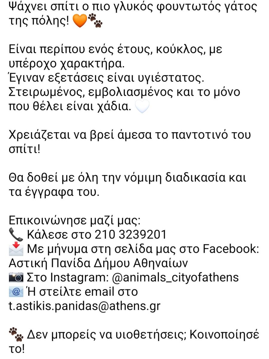 KatKatPt's tweet image. 🆘️🆘️🆘️
Αυτός ο φουντωτός γατουλης ψάχνει άμεσα σπίτι 
1 έτους με υπέροχο χαρακτήρα,στειρωμενος,εμβολιασμενος,που θέλει μόνο χάδια
Θα δοθεί με όλα τα νόμιμα
Rt 🙏 🙏 🙏