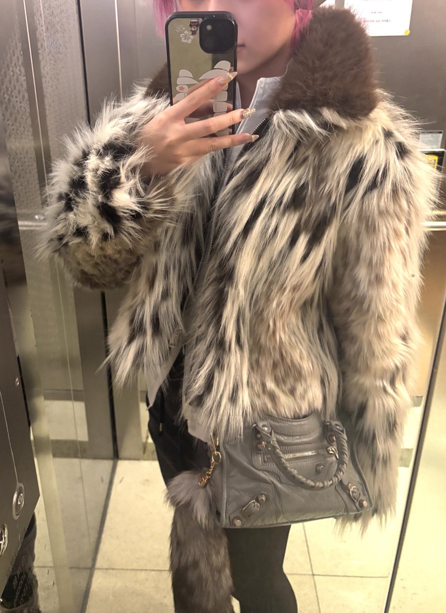 도자캣 내한 너무 행복한 시간이엇다🫦