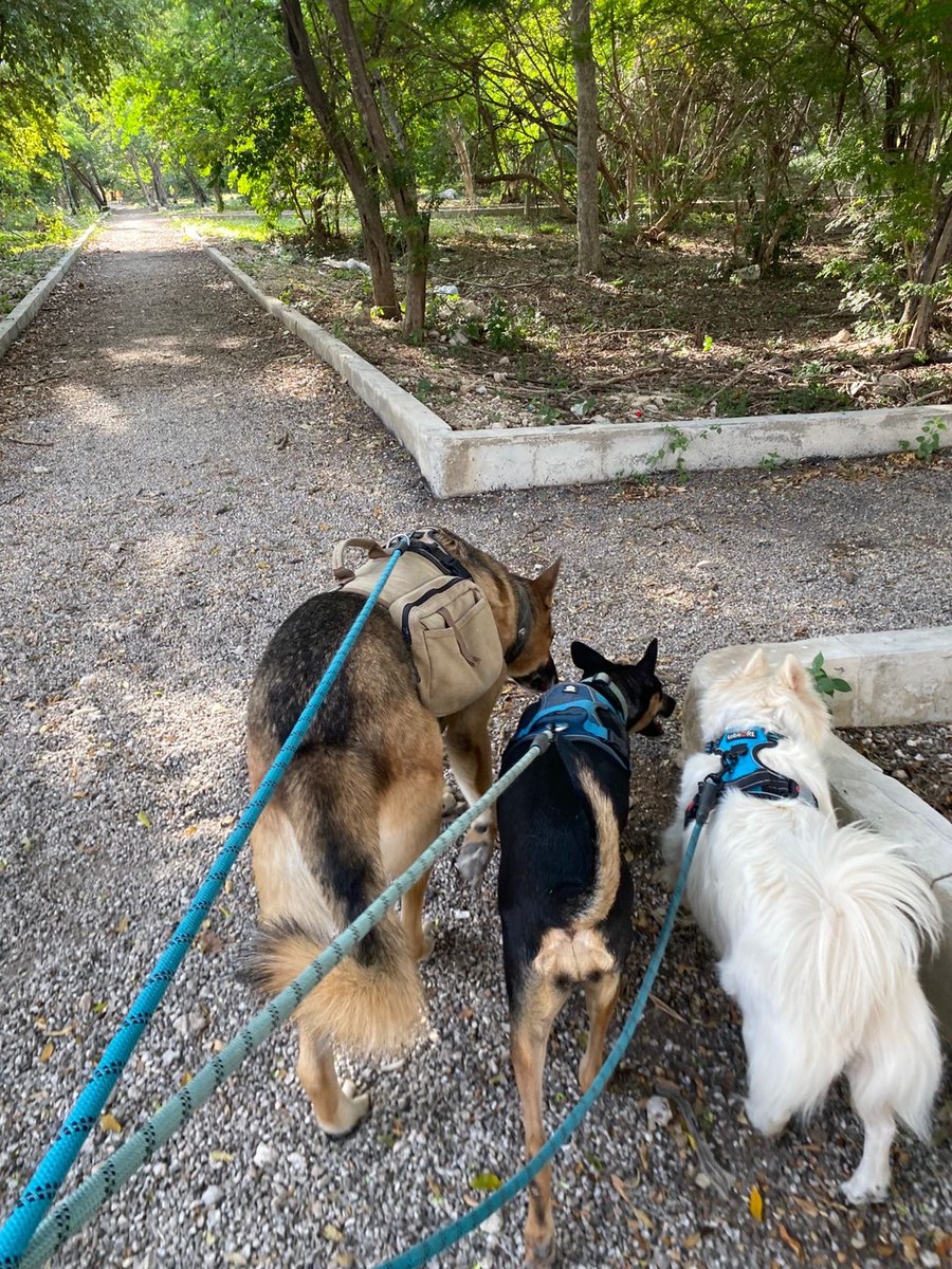 🎨Artsy M*rxist 🎨 (commissions closed) tweet media