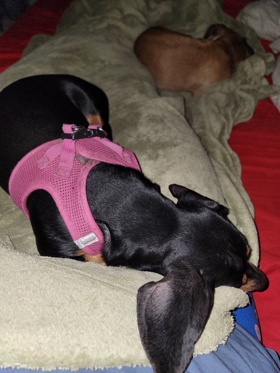 Talking today about how every small decision in life leads to where you are now.  Missing Heather &amp; Jessie so much today.  B/c I brought #Kerplunk to listen to while I waited 30 years ago I met Heather. Now Hubby and I have Starla and MJ because of that friendship made that day.