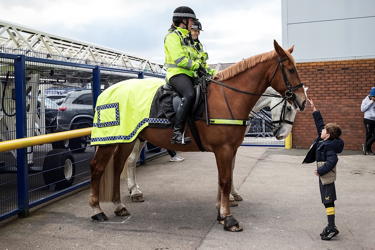 Its National Day of the Horse, lets celebrate beautiful horses with some photographs of them outside Goodison Park.