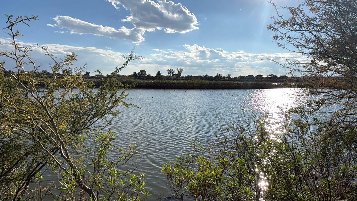 Secretaría del Ayuntamiento León tweet media