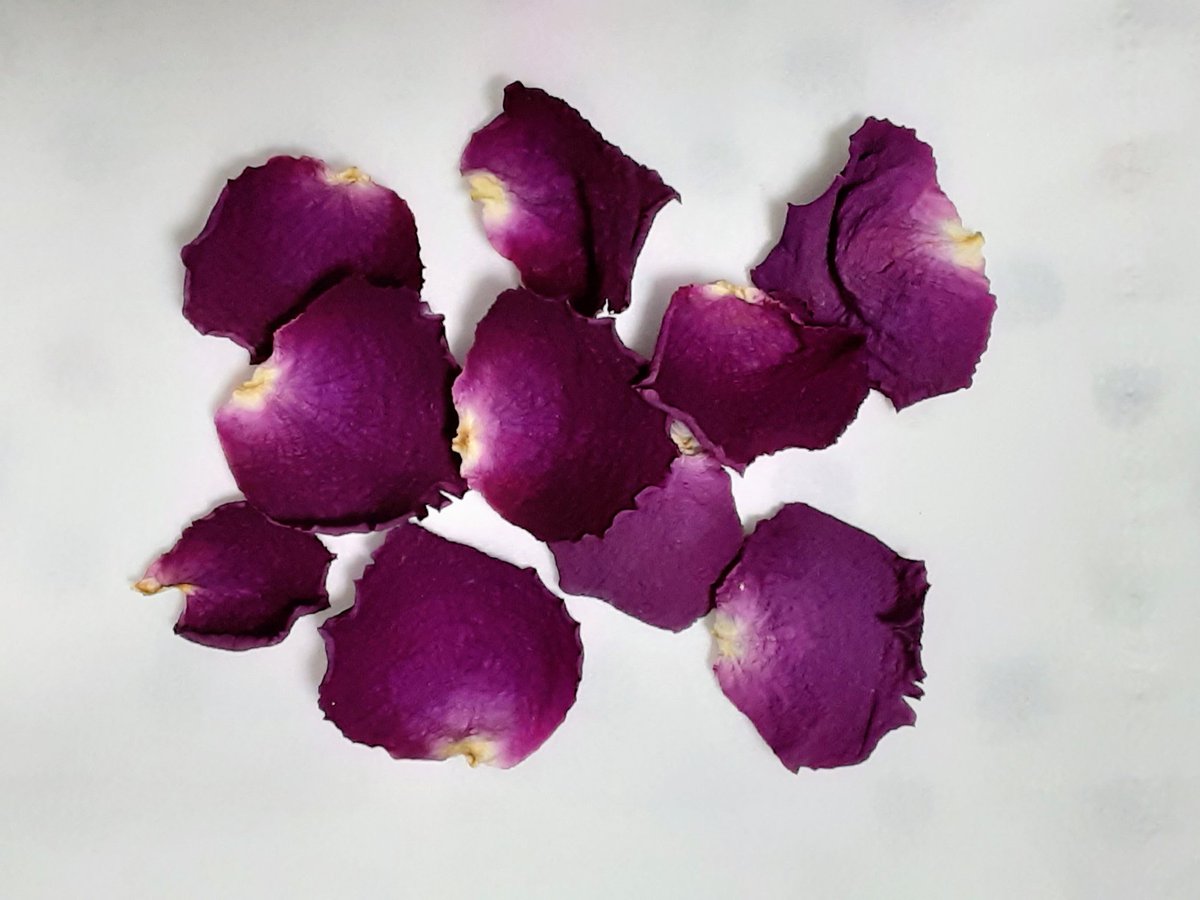 ドライフラワー