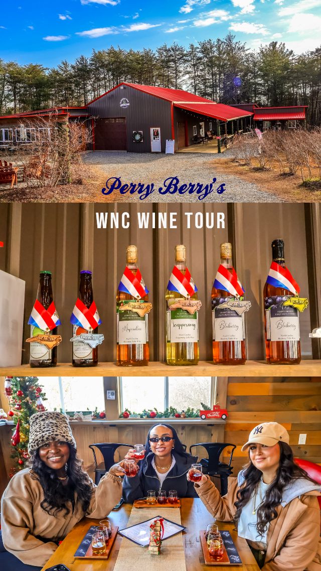 AskWNC's tweet image. Wine tours across Western North Carolina. See more...
toashevilleandbeyond.com/blueberries-wi… 🍷 #wine #winery #tours #travel #winetravel #nc #visitwnc #northcarolina #wnc