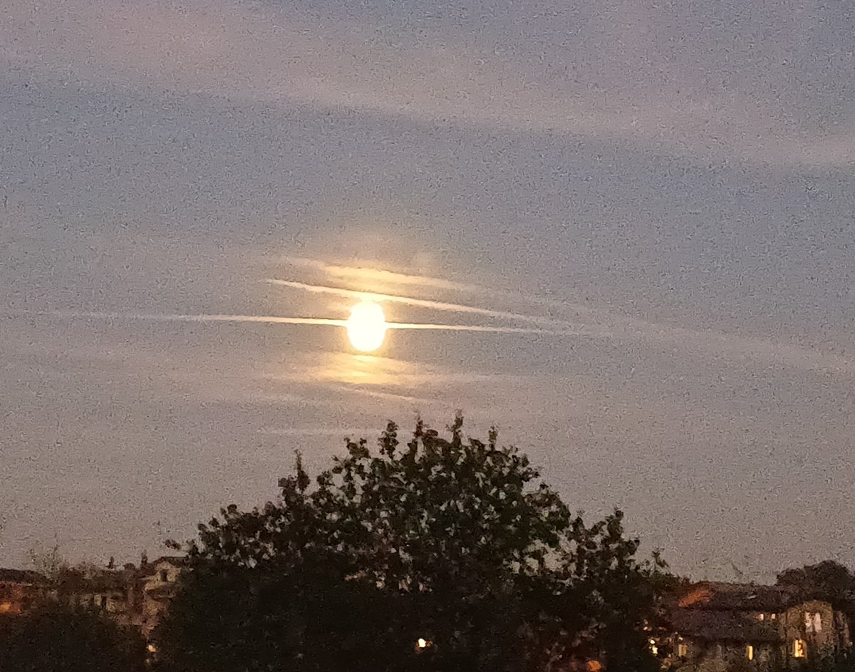 È andata a finire proprio come temevo.
Ci tenevo molto a te e ti ho "perso", come il tempo prezioso dedicato a te.
#taaaaaac!
Il tempo passa
e rivela!
Comunque c'è sempre un bel finale:
perdendo te,
ho ritrovato me!
🤝
#amicismarriti
#megliosoli