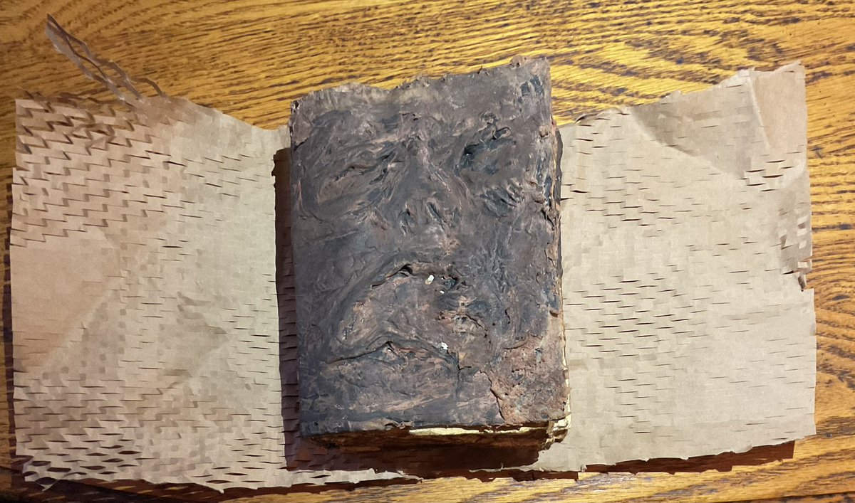 shell062598's tweet photo. DO NOT READ FROM THIS BOOK!! 😈📕
I don’t even know what to say! Thank you to the incredible artist Michael Payne for creating one of the most incredible gifts I have EVER received!! 💯😍🖤 #EvilDead1981 @GroovyBruce https://t.co/Ei6qggpNRb