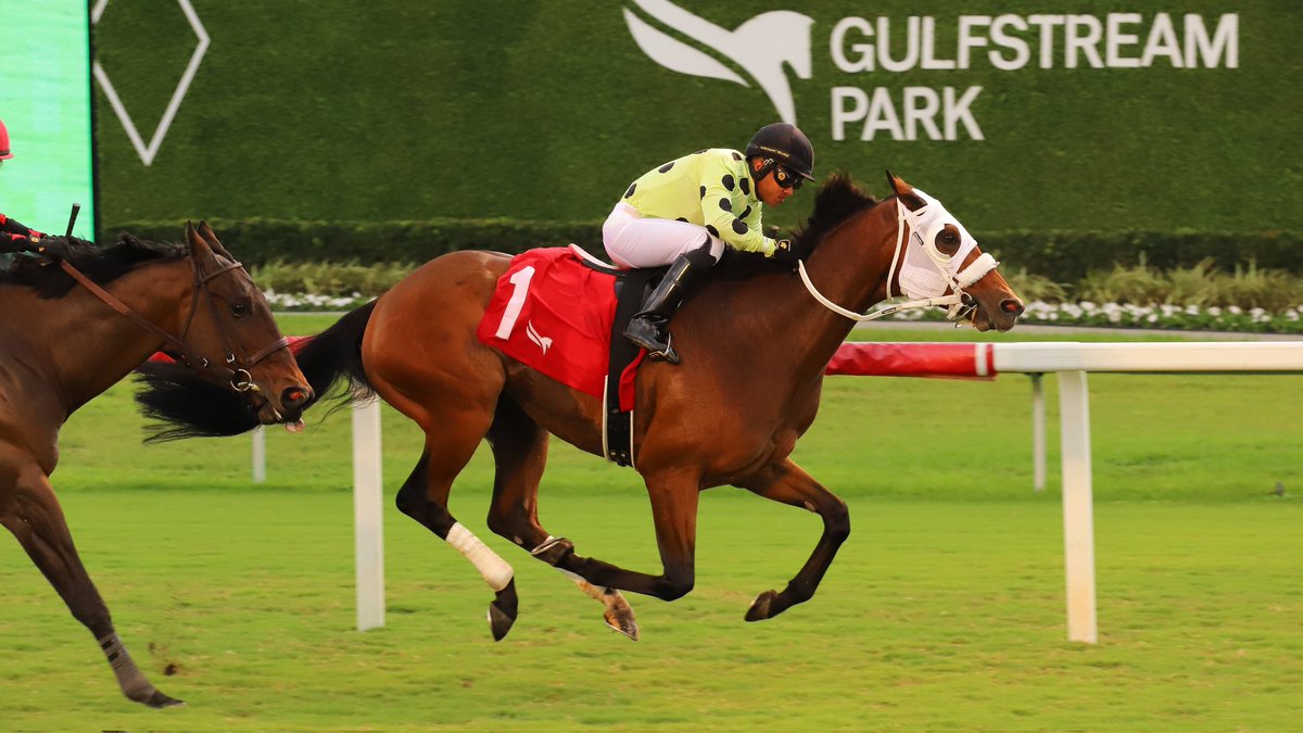Gulfstream Park tweet media