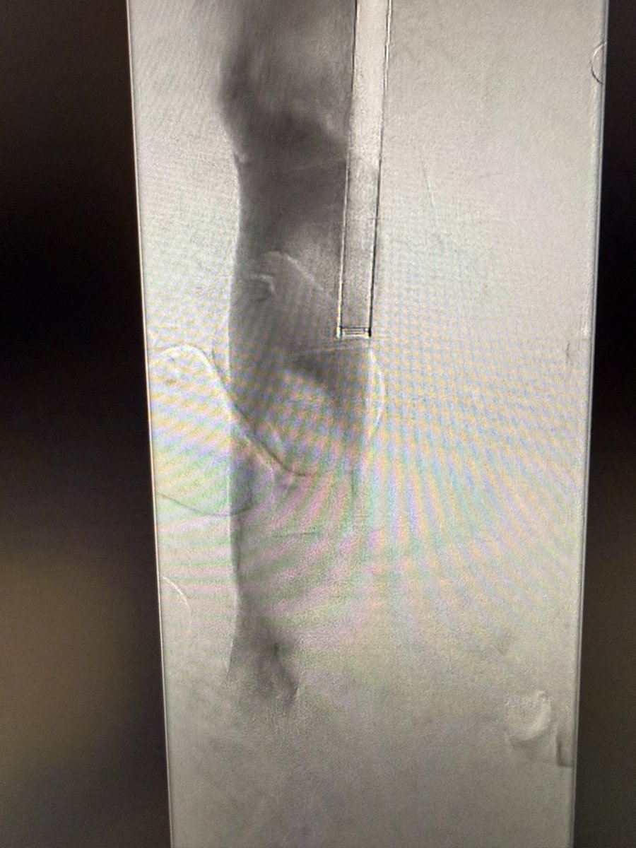 Harris Chengazi tweet media