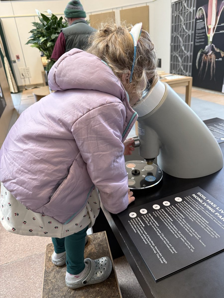RyMillerTime's tweet image. Visiting the ⁦@USBotanicGarden⁩ put us in the holiday spirit! 💚 🪴